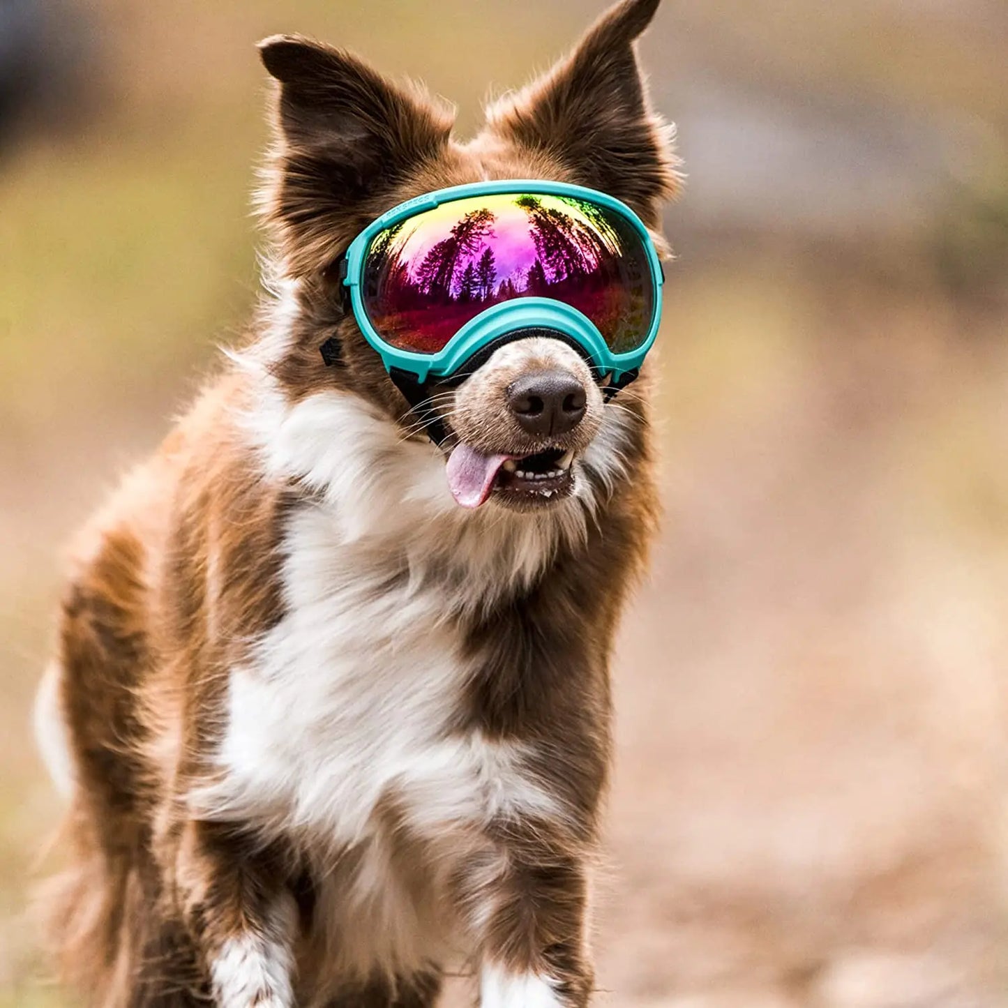 ATUBAN Adjustable Dog Goggles – Anti-UV, Breathable, Impact-Resistant Pet Sunglasses for Large and Small Breeds