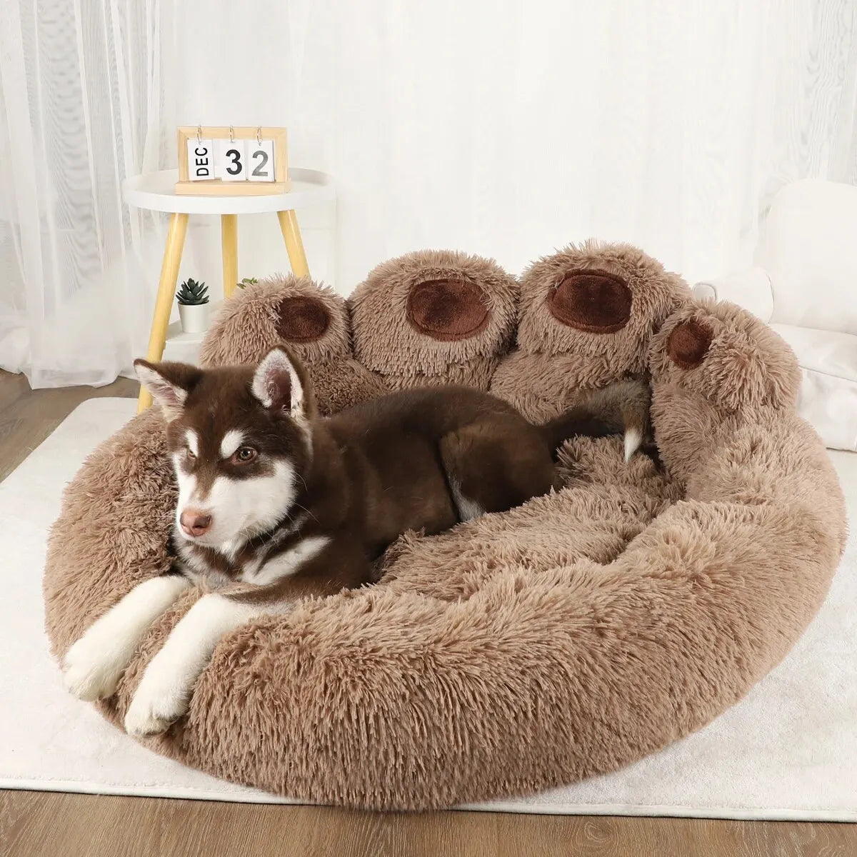 Bear Paw Pet Bed – Cute Soft Fluffy Sofa for Dogs and Cats, Comfortable Sleeping Cushion for Small, Medium, and Large Pets